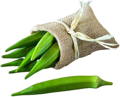 VibeX OKRA, Ladies Finger, Bhindi Seed(100 per packet)