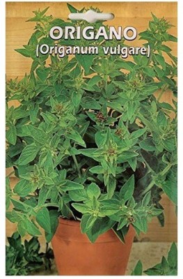 Biosnyg Italsementi Oregano (Origanum Vulgare)-250 x Seeds 500 Seeds Seed(500 per packet)