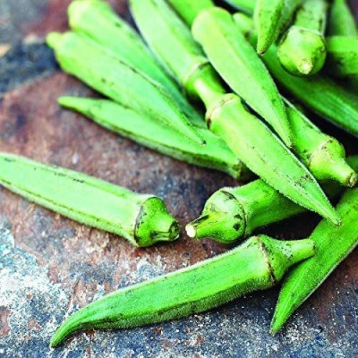 VibeX OKRA, Ladies Finger, Bhindi Seed(500 per packet)