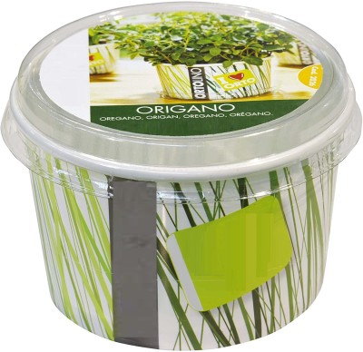 ActrovaX Oregano Kit - White/Green [250 Seeds] Seed(250 per packet)