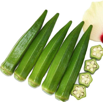 WILLVINE Emerald Okra Seeds | Green Gumbo Fry Boil Easy Grow Bulk Seed(500 per packet)