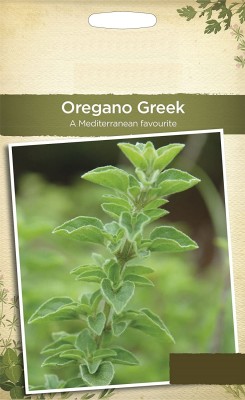 Biosnyg Premium Herb Seeds for Oregano Herb Plants-250 x Seeds 500 Seeds Seed(500 per packet)