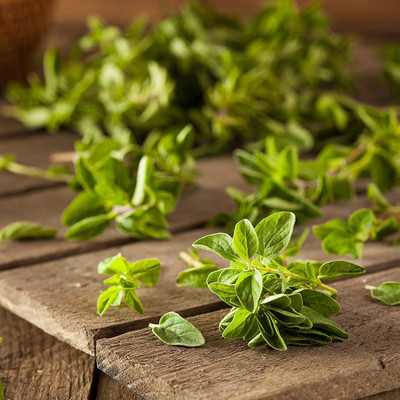 VibeX Oregano Seed(250 per packet)