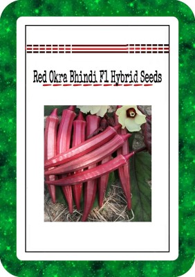 ActrovaX Okra Red Burgundy F1 Hybrid Vegetable (LADIES FINGER)[500 Seeds] Seed(500 per packet)