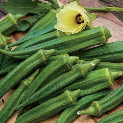 Farmonix Z256_T_Velvet Okra Seeds Seed(50 per packet)