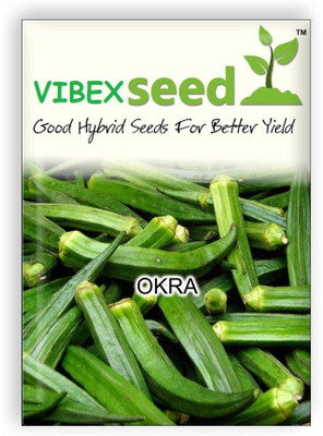 VibeX OKRA, Ladies Finger, Bhindi Seed(1000 per packet)