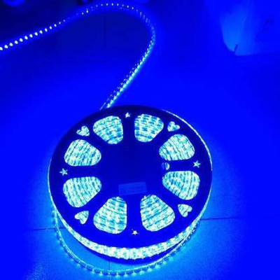 spark world 880 LEDs 10 m Blue Steady Strip Rice Lights(Pack of 1)