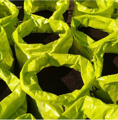 SN SMART GARDEING Organics Vermicompost Manure (5 kg, Granules) Potting Mixture, Soil(5 kg, Powder)