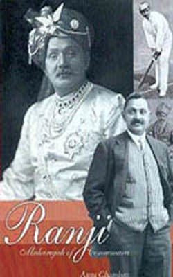 Maya Running(English, Paperback, Banerjee Anjali)