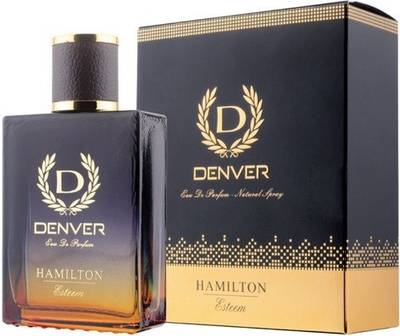 DENVER Esteem Perfume Eau de Parfum  -  100 ml  (For Men)