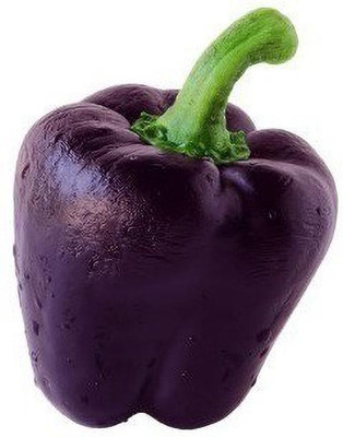 CRGO CAPSICUM , SHIMLA MIRCH Seed(175 per packet)