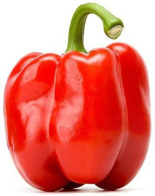 VibeX XX-95-Capsicum Seeds Red Colour Seeds Seed(125 per packet)