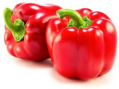 ActrovaX F1 Hybrid Capsicum Red [16000 Seeds] Seed(16000 per packet)