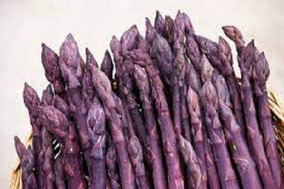 Sjeme Purple Asparagus Seed Seed(50 per packet)