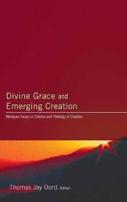 Divine Grace and Emerging Creation(English, Hardcover, unknown)