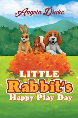 Little Rabbit's Happy Play Day(English, Paperback, Drake Angela)