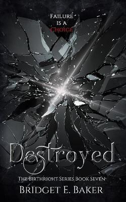 Destroyed(English, Paperback, Baker Bridget E)