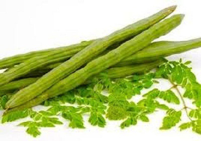 Sjeme Organic Pure Drumstick Moringa Seed(20 per packet)