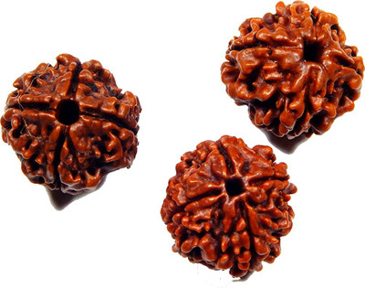 Urancia Exclusive Four Face Chatur Mukhi 4 Mukhi Char mukhi Rudrakh 3Pcs a lot Wood Pendant