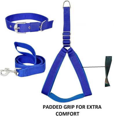 Hachiko Dog Harness & Leash(Medium, Blue)