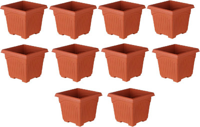 Naturally Green Naturally Green Square Pot Malta 6 inch pack of 10 Plant Container Set(Pack of 10, Plastic)