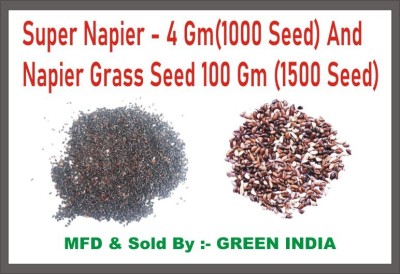 Green India Super Napier Grass Seed Seed(100 per packet)