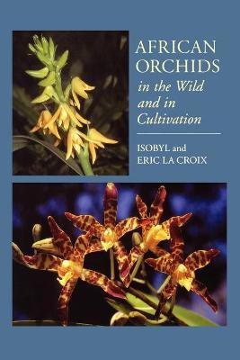 African Orchids in the Wild and in Cultivation(English, Paperback, la Croix Eric)