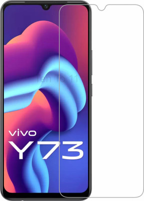 Ten To 11 Screen Guard for ViVO Y73(Pack of 1)