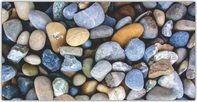 Jagvii 59 cm Real river Stones, Self Adhesive Sticker(Pack of 1)