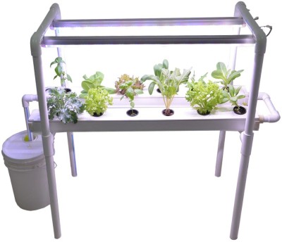 Croptek Agri 12 Planter Hydroponics KIT Plant Container Set(Plastic)