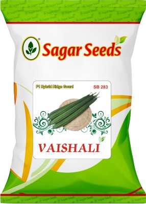 Naturo VAISHALI RIDGE GOURD Seed(350 per packet)