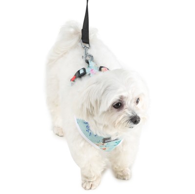 Barks & Wags VHL-02 S Dog Harness & Leash(Small, Grey & Blue Floral)