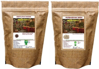 WILD FOREST SHIVLINGI SEEDS, PUTRAJEEVAK SEEDS Seed(50 per packet)