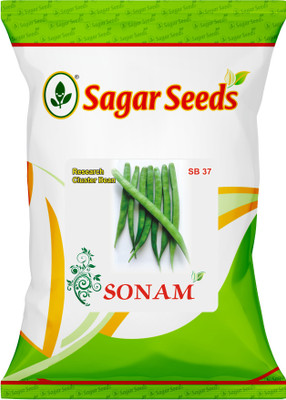 Cosmos SONAM CLUSTER BEAN Seed(100 per packet)