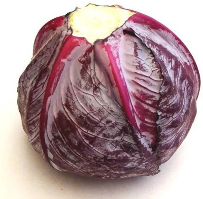 XOLDA Cabbage Seed(43 per packet)
