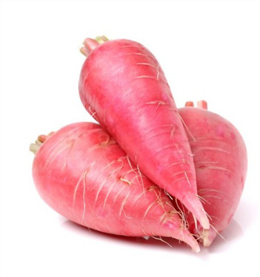 sporos Red Radish Long Seed(11 per packet)
