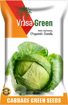 Vrisa Green FRESH CABBAGE Seed(100 per packet)