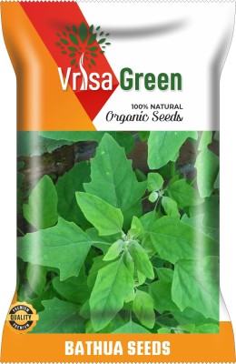 Vrisa Green FRESH BATHUA Seed(50 per packet)