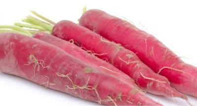 sporos Red Radish Long Seed(11 per packet)