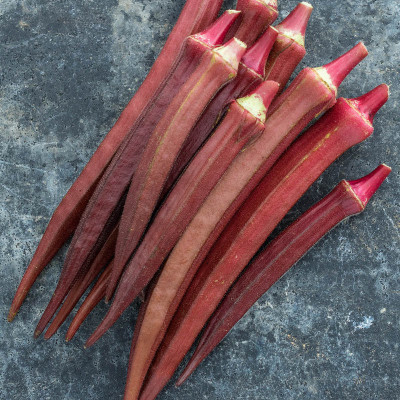 Farmonix Z1113_X_French Quarter Pink Hybrid Okra Seed Seed(100 per packet)