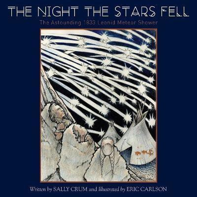 The Night the Stars Fell(English, Paperback, Crum Sally)