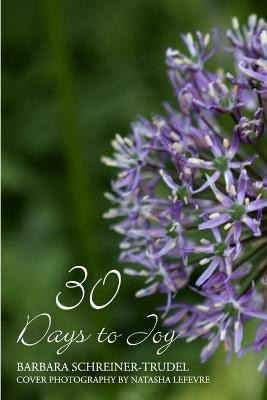 30 Days to Joy(English, Paperback, Schreiner-Trudel Barbara)