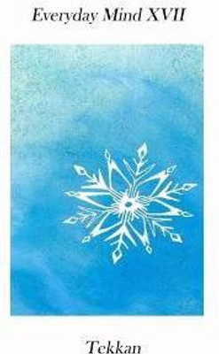 Everyday Mind XVII(English, Paperback, Tekkan)
