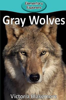 Gray Wolves(English, Paperback, Blakemore Victoria)