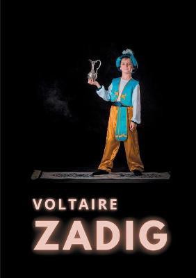 Zadig(French, Paperback, Voltaire)