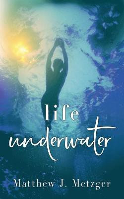 Life Underwater(English, Paperback, Metzger Matthew J)