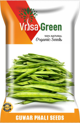 Vrisa Green CLUSTER BEANS Seed(100 per packet)