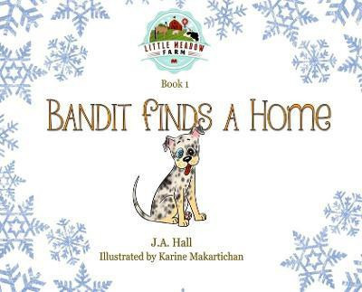 Bandit Finds a Home(English, Hardcover, Hall J a)
