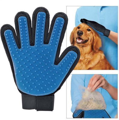 Hachiko Grooming Gloves for Dog, Cat, Hamster(Blue, Black, Large)