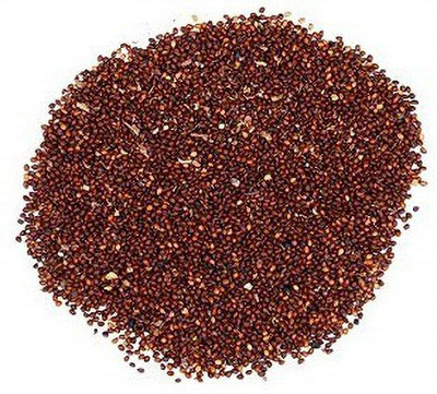 WILLVINE Tulsi Seed(500 per packet)